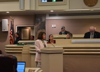 This is a picture of Donna Givens on the floor of the House.