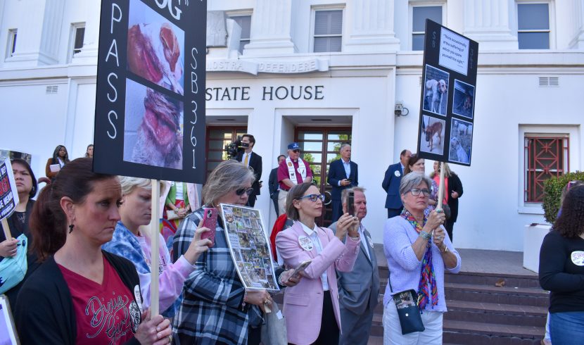This is picture of a crowd on the State House steps.