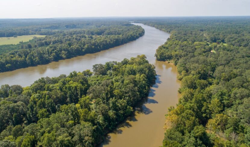 Army Corps Studying Dams Fish Flow In Alabama River Alabama Daily News   Cahaba River Confluence 005 Small 1 830x490 C 