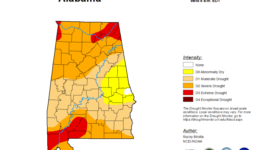 Drought conditions prompt disaster declaration in 16 counties - Alabama