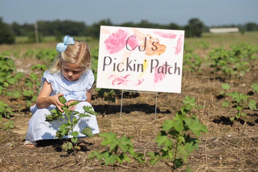 This is a photo of a young girl holding a cotton plan