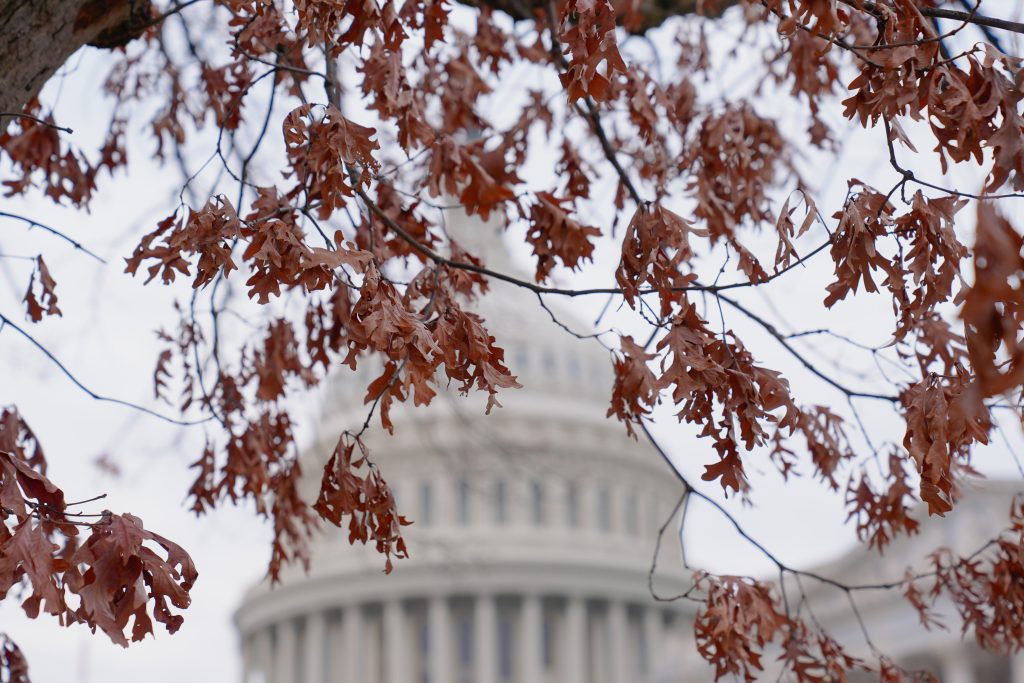 Patrol vehicles to AI research: Alabama set to receive $102M in earmarks from latest spending package