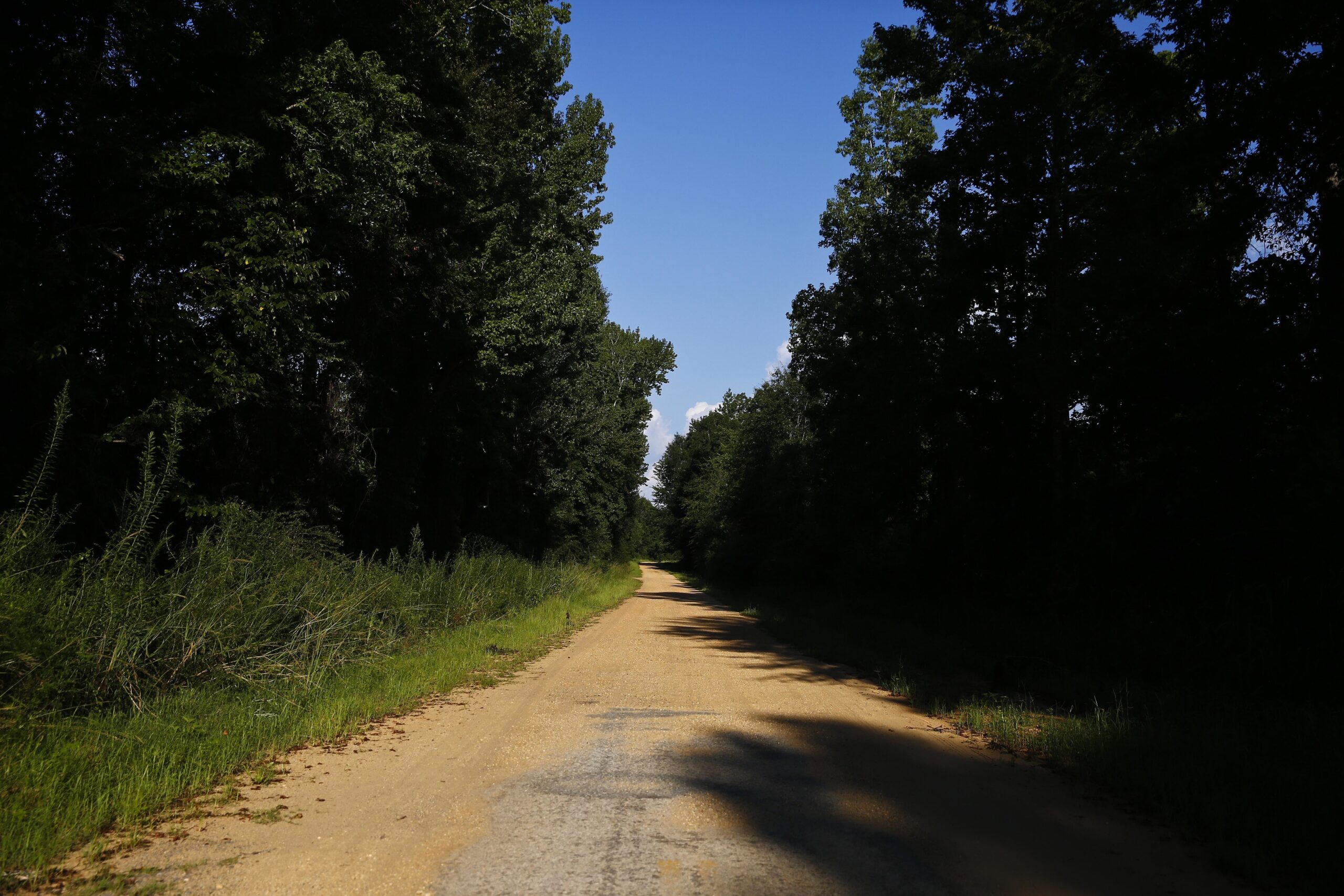 Most of Black Belt region lacks sufficient access Alabama