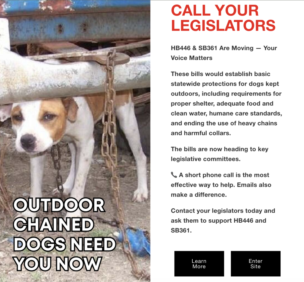 This is a picture of a website that urges people to call their legislators. There is a picture of a dog chained to a stationary object.