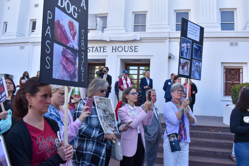 This is picture of a crowd on the State House steps.